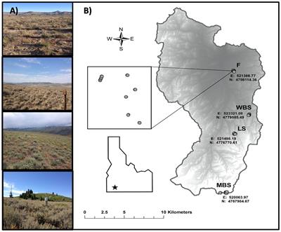 Biological Soil Crust Bacterial Communities Vary Along Climatic and Shrub Cover Gradients Within a Sagebrush Steppe Ecosystem